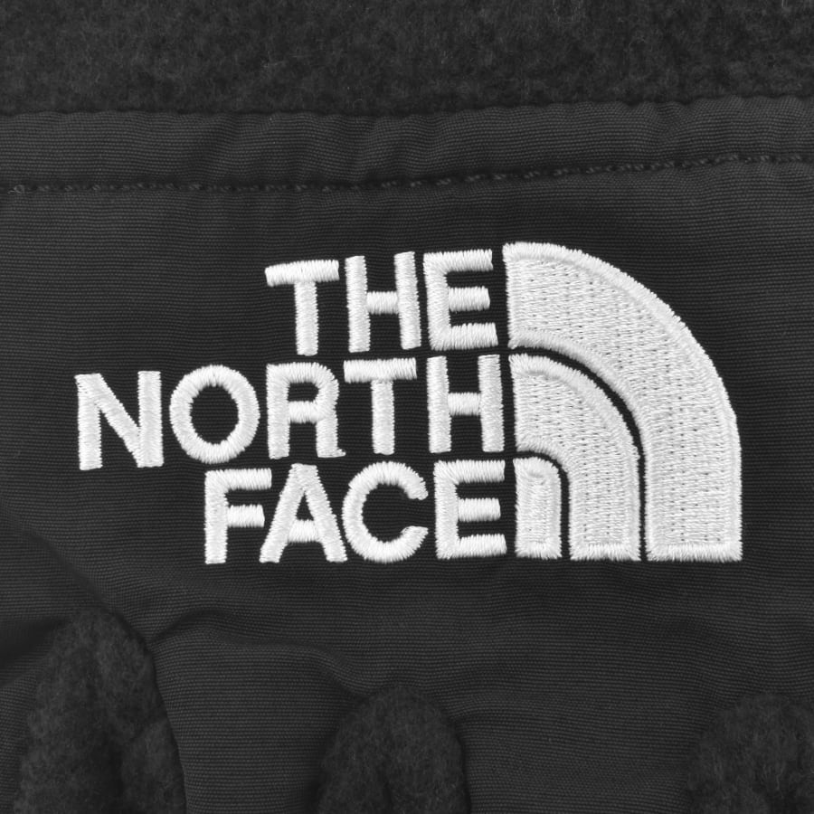 The North Face Denali Etip Gloves TNF Black M